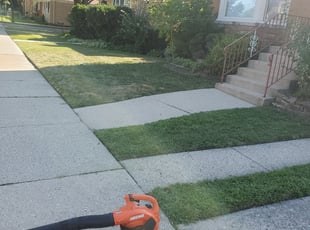 Chicago Il Lawn Care Service Lawn Mowing From 19 Rated Best 2020