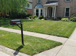 David S Complete Lawn Service Davids Complete Tree Lawn