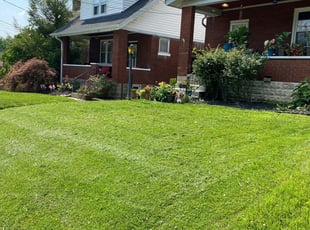1 Cincinnati Oh Lawn Care Service Lawn Mowing From 19 Best 2020