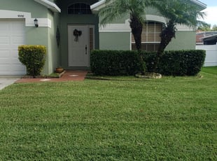 1 Cincinnati Oh Lawn Care Service Lawn Mowing From 19 Best 2020