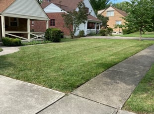 1 Cincinnati Oh Lawn Care Service Lawn Mowing From 19 Best 2020