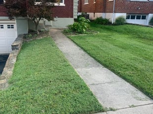 1 Cincinnati Oh Lawn Care Service Lawn Mowing From 19 Best 2020