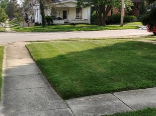 1 Cincinnati Oh Lawn Care Service Lawn Mowing From 19 Best 2020