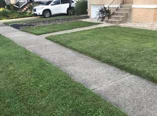 1 Cincinnati Oh Lawn Care Service Lawn Mowing From 19 Best 2020