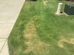 Clayton Nc Lawn Care Service Lawn Mowing From 19 Rated Best 2020