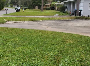 Clearwater Fl Lawn Care Service Lawn Mowing From 19 Rated Best 2020