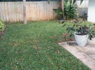 Clearwater Fl Lawn Care Service Lawn Mowing From 19 Rated Best 2020