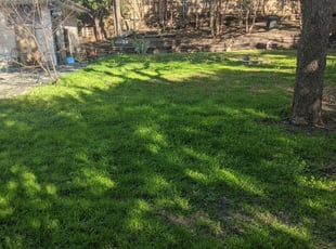 Clearwater Fl Lawn Care Service Lawn Mowing From 19 Rated Best 2020