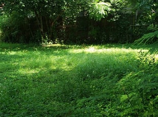 1 Cleburne Tx Lawn Care Service Lawn Mowing From 19 Best 2020