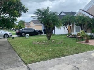 1 Clermont Fl Lawn Care Service Lawn Mowing From 19 Best 2020
