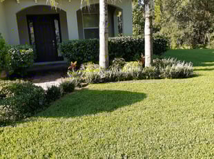 1 Clermont Fl Lawn Care Service Lawn Mowing From 19 Best 2020