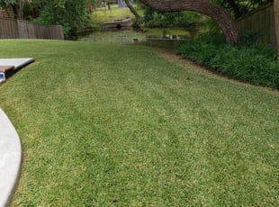 1 Cleveland Oh Lawn Care Service Lawn Mowing From 19 Best 2020