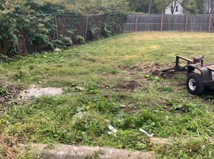 1 Cleveland Oh Lawn Care Service Lawn Mowing From 19 Best 2020