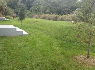 1 Cleveland Oh Lawn Care Service Lawn Mowing From 19 Best 2020