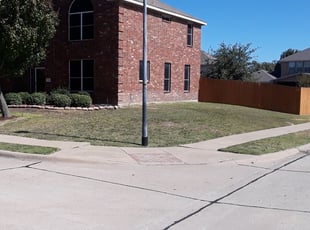 1 College Park Md Lawn Care Service Lawn Mowing From 19 Best 2020