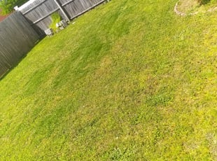 1 Colonial Heights Va Lawn Care Service Lawn Mowing From 19 Best 2020