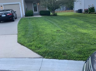Colorado Springs Co Lawn Care Service Lawn Mowing From 19 Rated Best 2020