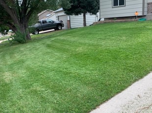 Colorado Springs Co Lawn Care Service Lawn Mowing From 19 Rated Best 2020