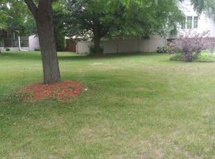 Colorado Springs Co Lawn Care Service Lawn Mowing From 19 Rated Best 2020