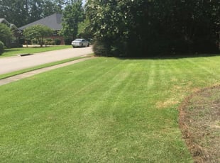 Columbia Sc Lawn Care Service Lawn Mowing From 19 Rated Best 2020