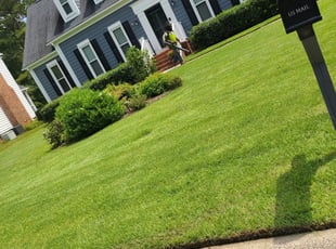 Columbia Sc Lawn Care Service Lawn Mowing From 19 Rated Best 2020