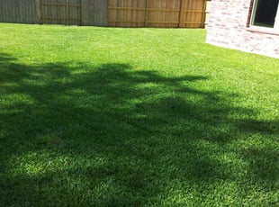 1 Columbia Tn Lawn Care Service Lawn Mowing From 19 Best 2020