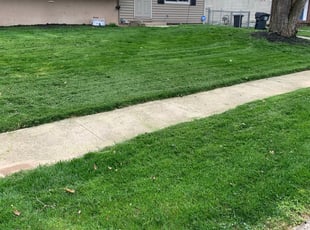 1 Columbus Oh Lawn Care Service Lawn Mowing From 19 Best 2020