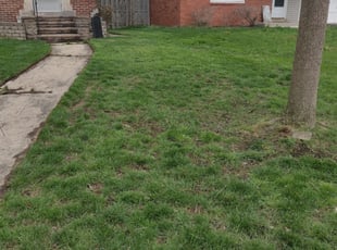 Columbus Oh Lawn Care Lawn Mowing From 19 Landscaping