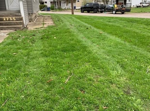 1 Columbus Oh Lawn Care Service Lawn Mowing From 19 Best 2020