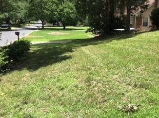 1 Columbus Oh Lawn Care Service Lawn Mowing From 19 Best 2020