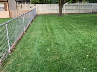 Free Quote Buckeye Fence Services