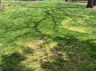 1 Compton Ca Lawn Care Service Lawn Mowing From 19 Best 2020