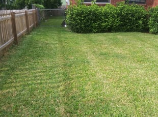 Conroe Tx Lawn Care Service Lawn Mowing From 19 Rated Best 2020