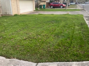 Converse Tx Lawn Care Service Lawn Mowing From 19 Rated Best 2020
