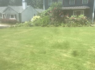 Converse Tx Lawn Care Service Lawn Mowing From 19 Rated Best 2020