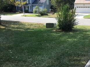 1 Conway Sc Lawn Care Service Lawn Mowing From 19 Best 2020