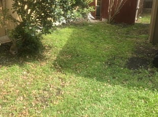 1 Conway Sc Lawn Care Service Lawn Mowing From 19 Best 2020