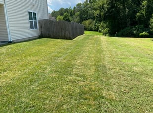 Conyers Ga Lawn Care Service Lawn Mowing From 19 Rated Best 2020