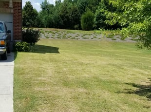 Conyers Ga Lawn Care Service Lawn Mowing From 19 Rated Best 2020
