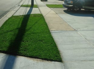 1 Cordova Tn Lawn Care Service Lawn Mowing From 19 Best 2020