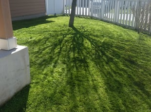Cornelius Nc Lawn Care Service Lawn Mowing From 19 Rated Best 2020