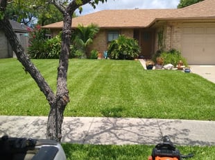 1 Corpus Christi Tx Lawn Care Service Lawn Mowing From 19 Best 2020