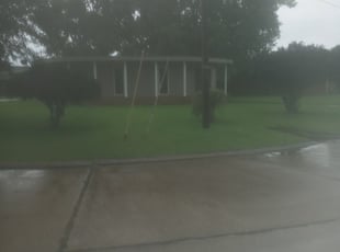 1 Corpus Christi Tx Lawn Care Service Lawn Mowing From 19 Best 2020
