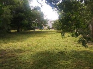 1 Corpus Christi Tx Lawn Care Service Lawn Mowing From 19 Best 2020