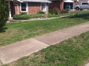Covington Ky Lawn Care Service Lawn Mowing From 19 Rated Best 2020