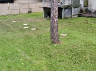 Covington Ky Lawn Care Service Lawn Mowing From 19 Rated Best 2020