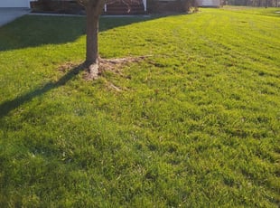 Covington La Lawn Care Service Lawn Mowing From 19 Rated Best 2020
