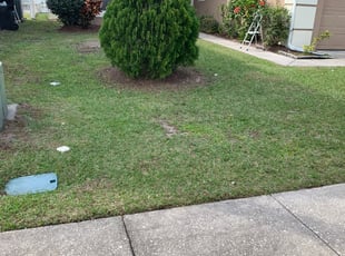 Covington La Lawn Care Service Lawn Mowing From 19 Rated Best 2020