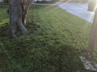Coweta Ok Lawn Care Service Lawn Mowing From 19 Rated Best 2020