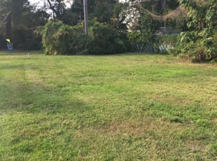 1 Crawfordville Fl Lawn Care Service Lawn Mowing From 19 Best 2020